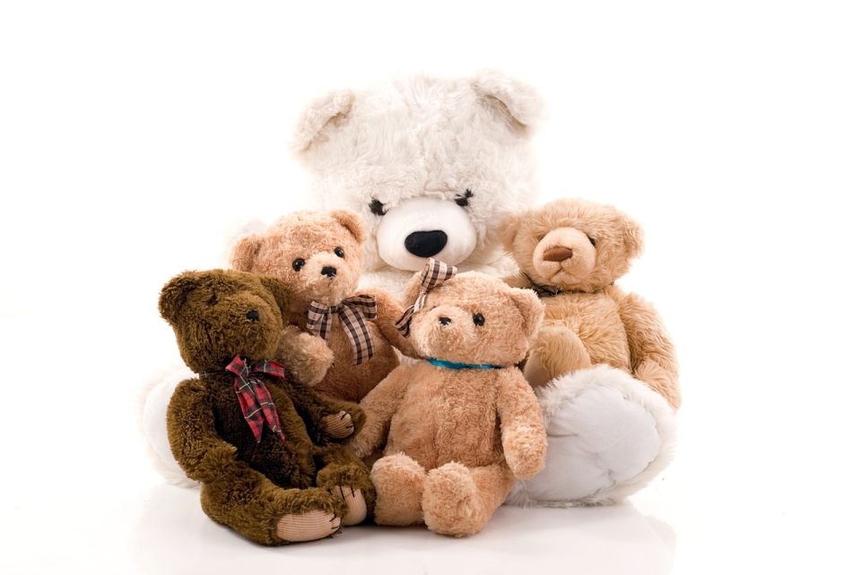 Teddybjörnar.