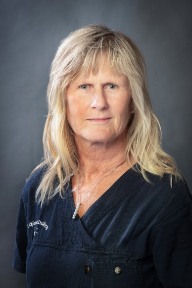 Ing-Mari Hagsten